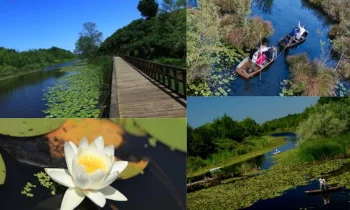 Doğanın Kalbinde Saklı Bir Cennet