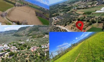 Edremit Satılık Zeytinlik Almanın Avantajları