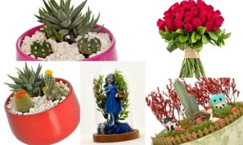 Özel Günlerde Çiçek Hediye Etmenin Anlamı